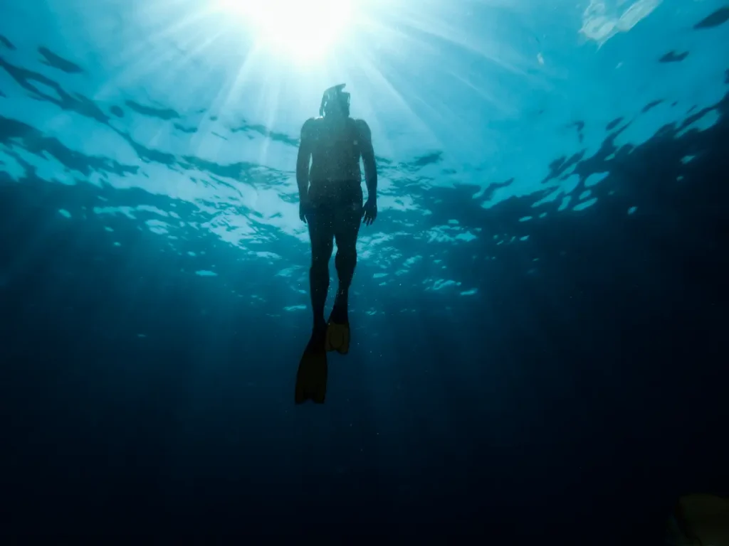 Getting Schooled as a Scuba Diver: Finding the Lesson in Every Dive