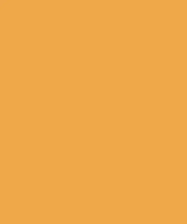 A flat, solid orange background with a warm hue, ideal for design use or color inspiration.