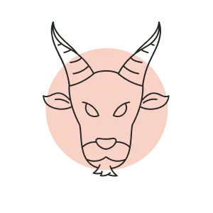 capicorn-ar-1753385659.png