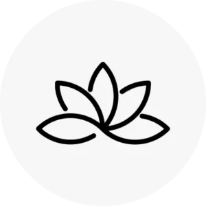 jvjv-1753300058.png