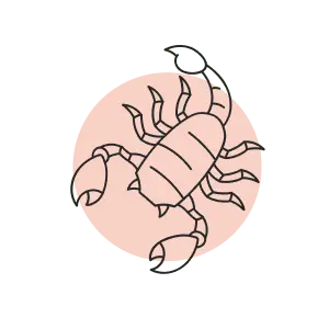 scorpio-ar-1753385657.png